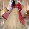 red lehenga choli set for women wedding wear