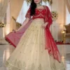 NZ-RO-DLEH-RO14184-1 red lehenga choli set for women wedding wear