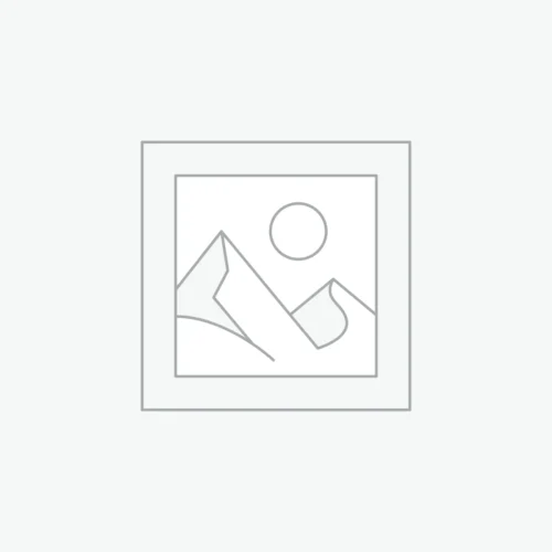 Zari Woven Kanjivaram Silk Lehenga Set